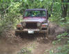 A little mud